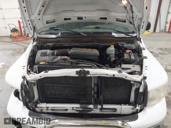 2002 Dodge 1500 with VIN 3D7HA18N42G206559, listed as a IAAI auction lot 41405308 with 242,865 mi miles and . Bid and sale history available at DreamBid. Image 10.