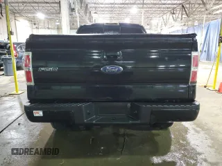 2010 Ford F-150 XL with VIN 1FTEX1EW1AFA40963, listed as a Copart auction lot 48222415 with Not Provided miles and Clean Title. Bid and sale history available at DreamBid. Image 6.