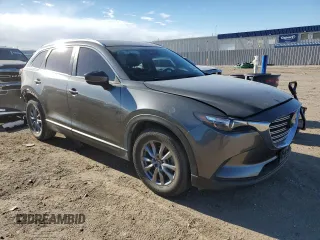 2019 Mazda CX-9 Sport with VIN JM3TCBBY8K0329235, listed as a Copart auction lot 83814274 with 48,762 mi miles and Salvage Title. Bid and sale history available at DreamBid. Image 4.