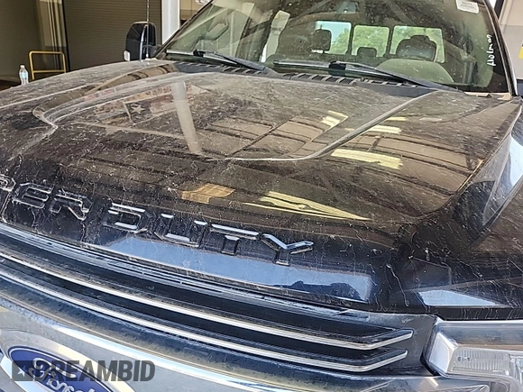 2019 Ford F-250 XL with VIN 1FT7W2BT0KED41596, listed as a IAAI auction lot 42727923 with 246,034 mi miles and . Bid and sale history available at DreamBid. Image 38.