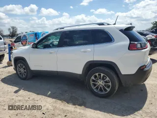 2020 Jeep Cherokee Lux with VIN 1C4PJLLX4LD517207, listed as a Copart auction lot 59304434 with 56,952 mi miles and Non repairable. Bid and sale history available at DreamBid. Image 2.