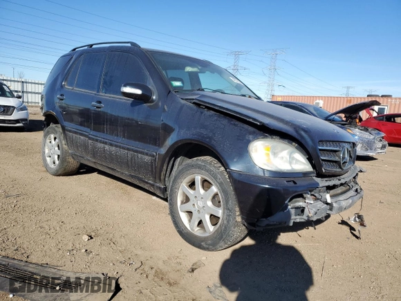 2002 Mercedes-Benz M-Class with VIN 4JGAB75E12A331867, listed as a Copart auction lot 42372375 with 120,434 mi miles and Salvage Title. Bid and sale history available at carsss.com. Image 4.