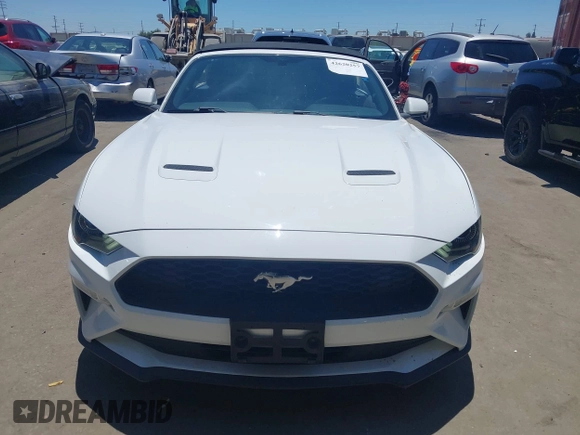 2019 Ford Mustang EcoBoost with VIN 1FATP8UH3K5131488, listed as a IAAI auction lot 42620257 with 60,333 mi miles and . Bid and sale history available at DreamBid. Image 12.
