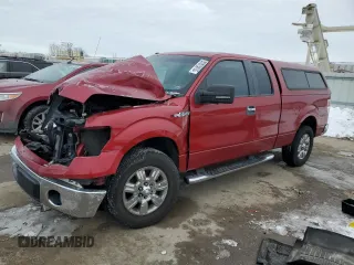 2009 Ford F-150 XLT with VIN 1FTRX12V59FA09031, listed as a Copart auction lot 87875615 with Not provided miles and Salvage title. Bid and sale history available at DreamBid. Image 1.