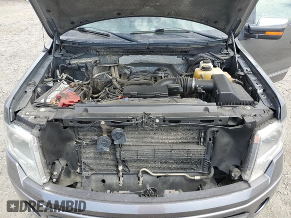 2013 Ford F-150 XL with VIN 1FTFW1EF8DFC90423, listed as a Copart auction lot 60133315 with 222,070 mi miles and Salvage title. Bid and sale history available at DreamBid. Image 11.