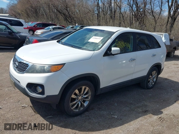 2011 Kia Sorento EX with VIN 5XYKU3A17BG008809, listed as a IAAI auction lot 41880114 with 183,474 mi miles. Bid and sale history available at carsss.com. Image 2.