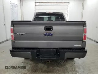2013 Ford F-150 XL with VIN 1FTMF1EF5DKF67754, listed as a Copart auction lot 42208864 with 254,867 mi miles and Clean Title. Bid and sale history available at carsss.com. Image 6.