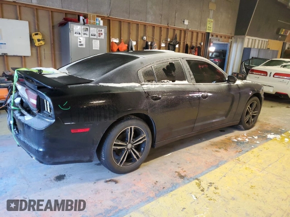 2014 Dodge Charger SXT Plus with VIN 2C3CDXJG0EH149134, listed as a Copart auction lot 89342435 with 282,021 mi miles and Salvage Title. Bid and sale history available at carsss.com. Image 3.