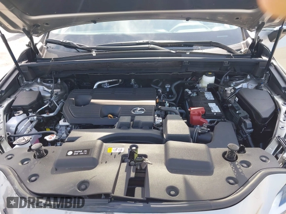 2025 Lexus NX 250 with VIN 2T2ADCAZ8SC027779, listed as a IAAI auction lot 42420839 with 491 mi miles and . Bid and sale history available at DreamBid. Image 10.