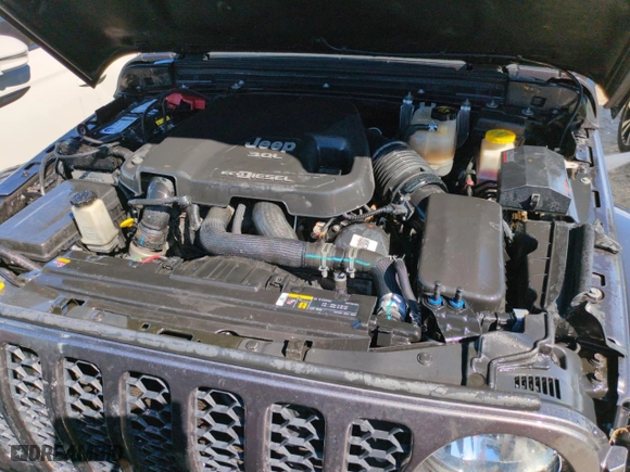 2021 Jeep Gladiator Texas Trail with VIN 1C6JJTAM6ML508229, listed as a Copart auction lot 74991134 with 0 mi miles and Non Repairable. Bid and sale history available at carsss.com. Image 11.