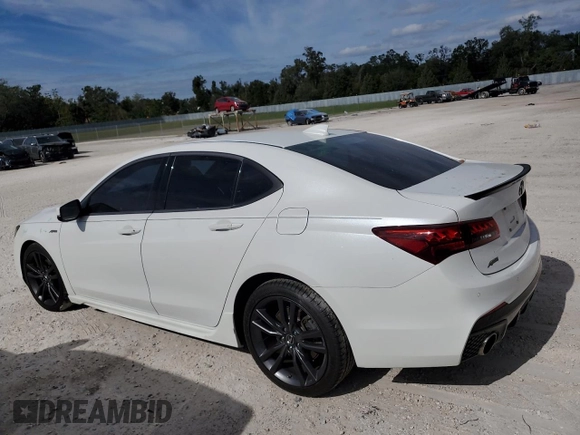 2019 Acura TLX w/A-Spec Pkg with VIN 19UUB1F61KA006305, listed as a Copart auction lot 81077674 with 82,763 mi miles and Salvage Title. Bid and sale history available at carsss.com. Image 2.
