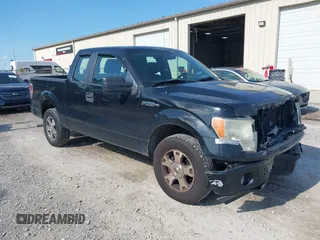 2009 Ford F-150 STX with VIN 1FTRX12W19FA20343, listed as a IAAI auction lot 42573048 with 245,960 mi miles and . Bid and sale history available at DreamBid. Image 1.
