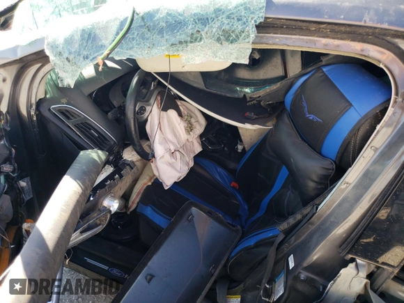 2014 Ford Focus Titanium with VIN 1FADP3N25EL264433, listed as a Copart auction lot 48863955 with Not provided miles and Salvage title. Bid and sale history available at DreamBid. Image 7.