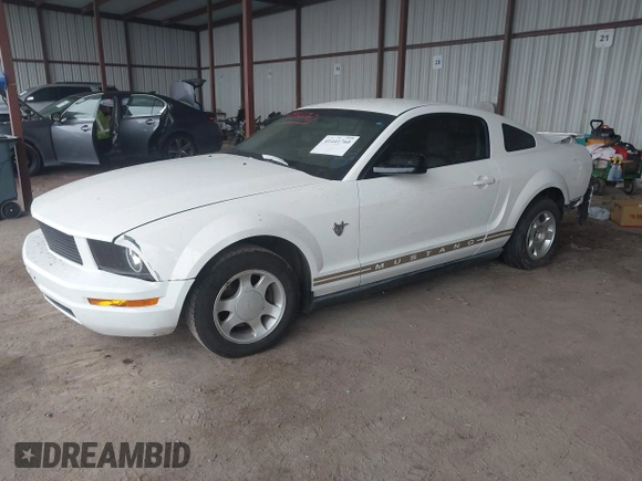 2009 Ford Mustang with VIN 1ZVHT80N095117420, listed as a IAAI auction lot 41441760 with 137,751 mi miles and . Bid and sale history available at carsss.com. Image 17.