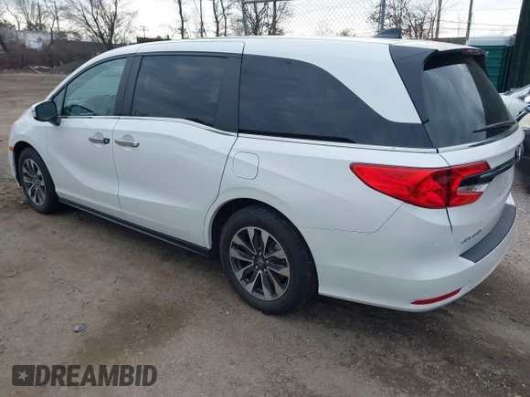 2024 Honda Odyssey EX-L with VIN 5FNRL6H66RB003316, listed as a IAAI auction lot 41304872 with 12,810 mi miles and . Bid and sale history available at DreamBid. Image 3.