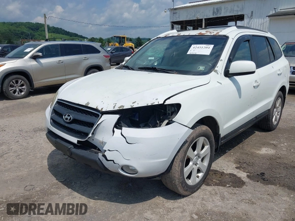 2007 Hyundai Santa Fe SE with VIN 5NMSH73E87H012117, listed as a IAAI auction lot 42451204 with 188,340 mi miles and . Bid and sale history available at DreamBid. Image 6.