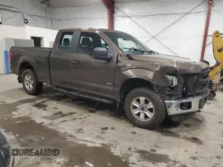 2016 Ford F-150 XLT with VIN 1FTEX1EP0GFD57599, listed as a Copart auction lot 49491735 with 162,253 mi miles and Salvage Title. Bid and sale history available at carsss.com. Image 4.