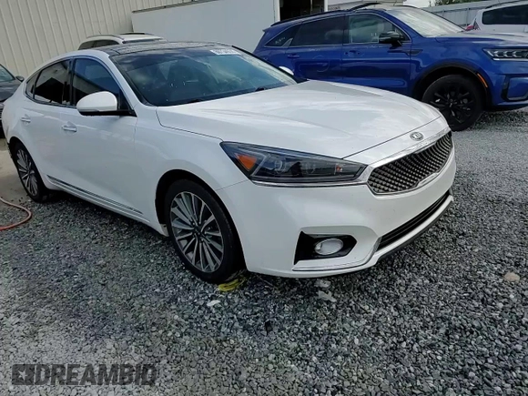2017 Kia Cadenza Premium with VIN KNALC4J13H5091215, listed as a Copart auction lot 80734974 with 67,266 mi miles and Salvage Title. Bid and sale history available at carsss.com. Image 14.