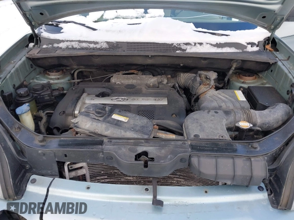 2006 Hyundai Tucson GL with VIN KM8JM72B06U298904, listed as a IAAI auction lot 41370728 with 209,284 mi miles. Bid and sale history available at carsss.com. Image 10.