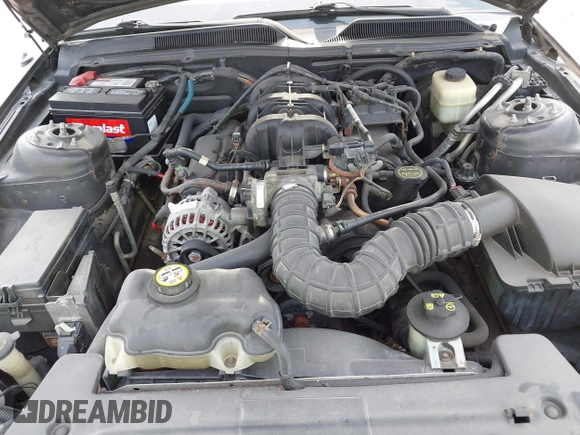 2008 Ford Mustang Deluxe with VIN 1ZVHT80N485109173, listed as a IAAI auction lot 42502182 with 160,917 mi miles and . Bid and sale history available at DreamBid. Image 10.