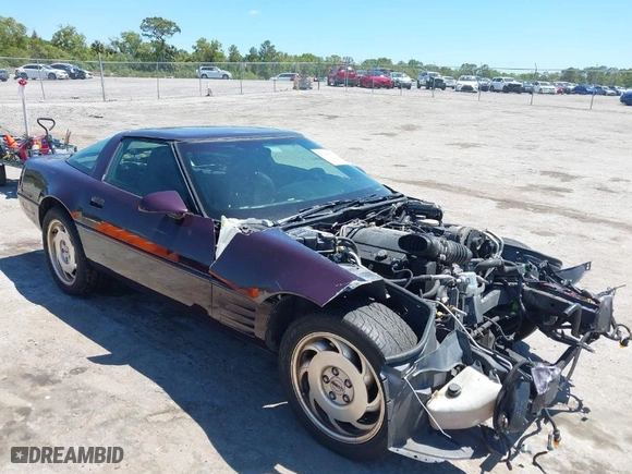 1994 Chevrolet Corvette with VIN 1G1YY22P5R5106289, listed as a IAAI auction lot 42048667 with 1 mi miles. Bid and sale history available at carsss.com. Image 1.