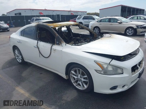 2009 Nissan Maxima SV with VIN 1N4AA51E29C824866, listed as a IAAI auction lot 41826379 with Not Provided miles and . Bid and sale history available at DreamBid. Image 1.