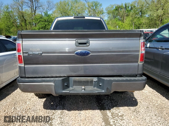 2010 Ford F-150 XL with VIN 1FTEX1CW4AFC94735, listed as a Copart auction lot 51646395 with 171,646 mi miles and Salvage Title. Bid and sale history available at carsss.com. Image 6.