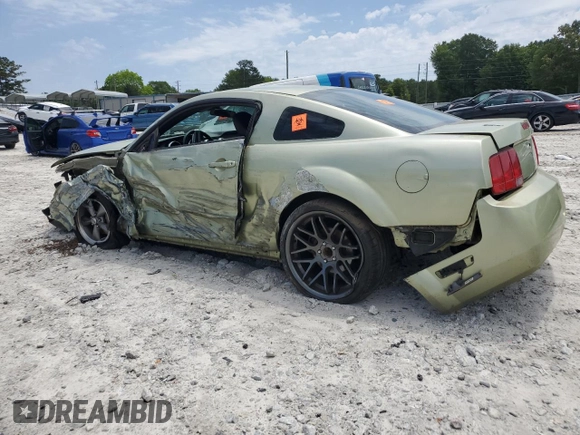 2006 Ford Mustang Standard with VIN 1ZVFT80N465176960, listed as a Copart auction lot 58125205 with Not provided miles and Salvage title. Bid and sale history available at DreamBid. Image 2.