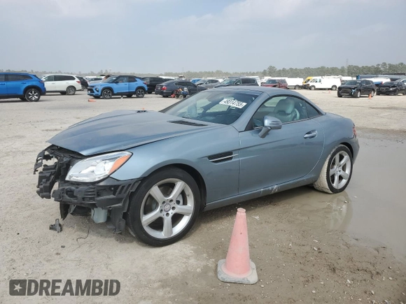 2013 Mercedes-Benz SLK 250 with VIN WDDPK4HA1DF057927, listed as a Copart auction lot 49314755 with 53,876 mi miles and Salvage title. Bid and sale history available at DreamBid. Image 1.