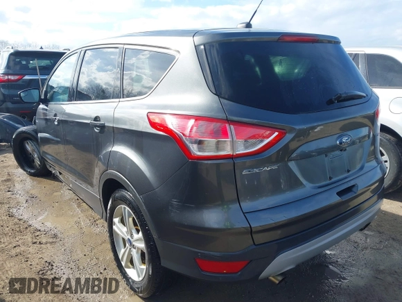 2016 Ford Escape SE with VIN 1FMCU0G78GUA20032, listed as a IAAI auction lot 41853044 with 117,005 mi miles. Bid and sale history available at carsss.com. Image 3.