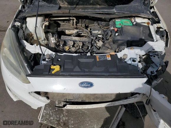 2015 Ford Focus SE with VIN 1FADP3F21FL263179, listed as a Copart auction lot 49241185 with 0 mi miles and Non Repairable. Bid and sale history available at carsss.com. Image 11.