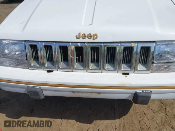 1994 Jeep Grand Cherokee Limited with VIN 1J4GZ78Y2RC344121, listed as a IAAI auction lot 42489350 with 219,186 mi miles and . Bid and sale history available at DreamBid. Image 6.