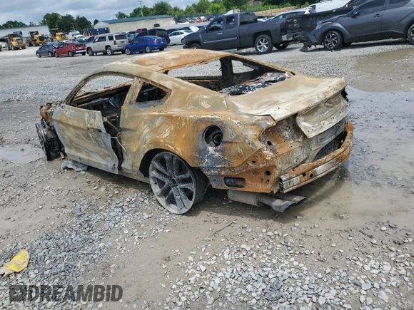 2019 Ford Mustang GT with VIN 1FA6P8CF3K5199495, listed as a Copart auction lot 56132555 with Not provided miles and Non repairable. Bid and sale history available at DreamBid. Image 2.
