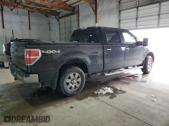 2010 Ford F-150 XL with VIN 1FTFW1EV8AFD31300, listed as a Copart auction lot 45961935 with Not Provided miles and Salvage Title. Bid and sale history available at DreamBid. Image 3.