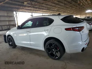 2022 Alfa Romeo Stelvio Ti with VIN ZASPAKBN7N7D25427, listed as a Copart auction lot 45980975 with 58,154 mi miles and Salvage Title. Bid and sale history available at carsss.com. Image 2.