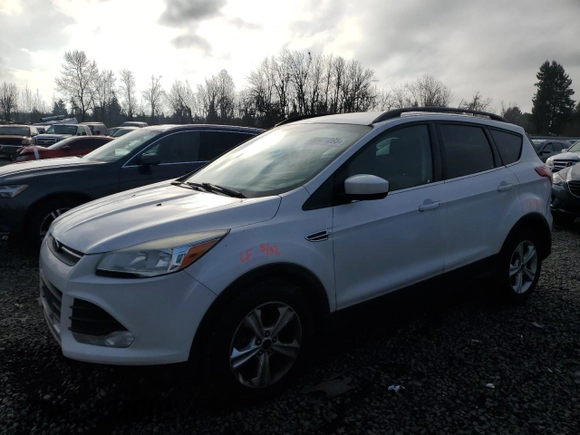 2014 Ford Escape SE with VIN 1FMCU0GX5EUB63677, listed as a Copart auction lot 88471095 with Not Provided miles and Salvage Title. Bid and sale history available at carsss.com. Image 1.