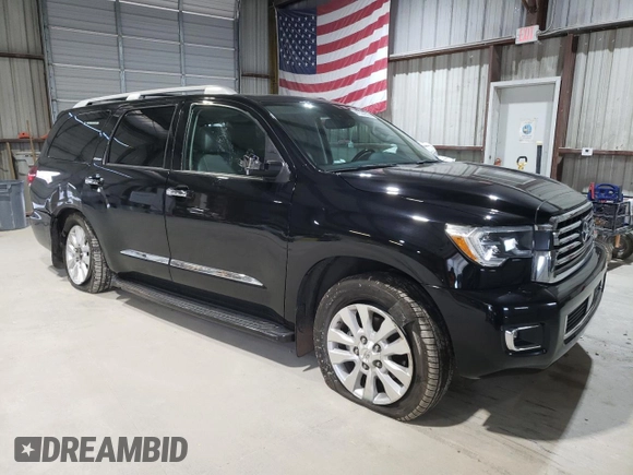2020 Toyota Sequoia Platinum with VIN 5TDDY5G17LS179368, listed as a Copart auction lot 41524835 with 55,319 mi miles and Salvage Title. Bid and sale history available at carsss.com. Image 4.