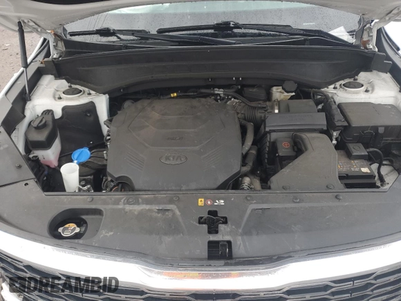 2021 Kia Telluride SX with VIN 5XYP54HC8MG158219, listed as a Copart auction lot 49172935 with 49,298 mi miles and Salvage Title. Bid and sale history available at carsss.com. Image 13.