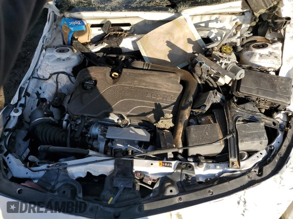2018 Chevrolet Malibu LT with VIN 1G1ZD5ST2JF262674, listed as a Copart auction lot 61692004 with Not Provided miles and Non Repairable. Bid and sale history available at carsss.com. Image 11.