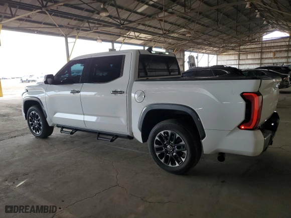 2023 Toyota Tundra 4WD Limited with VIN 5TFJA5DB2PX104372, listed as a Copart auction lot 45232005 with 19,989 mi miles and Salvage Title. Bid and sale history available at carsss.com. Image 2.