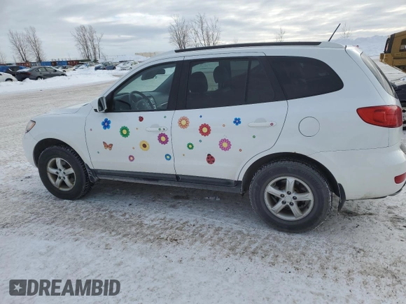 2009 Hyundai Santa Fe GL with VIN 5NMSG13E99H318861, listed as a Copart auction lot 46081195 with 294,793 mi miles and Clean title. Bid and sale history available at DreamBid. Image 2.