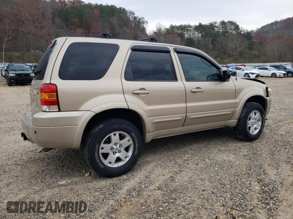 2007 Ford Escape Limited with VIN 1FMCU94187KA21164, listed as a Copart auction lot 78499824 with 189,016 mi miles and Salvage Title. Bid and sale history available at carsss.com. Image 3.