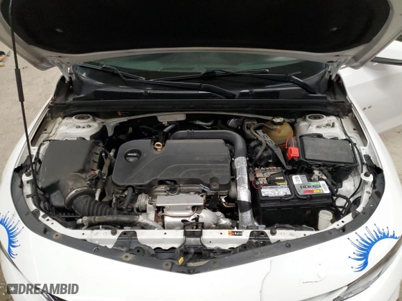 2018 Chevrolet Malibu LT with VIN 1G1ZD5ST2JF237774, listed as a Copart auction lot 51928905 with 177,884 mi miles and Salvage Title. Bid and sale history available at carsss.com. Image 11.