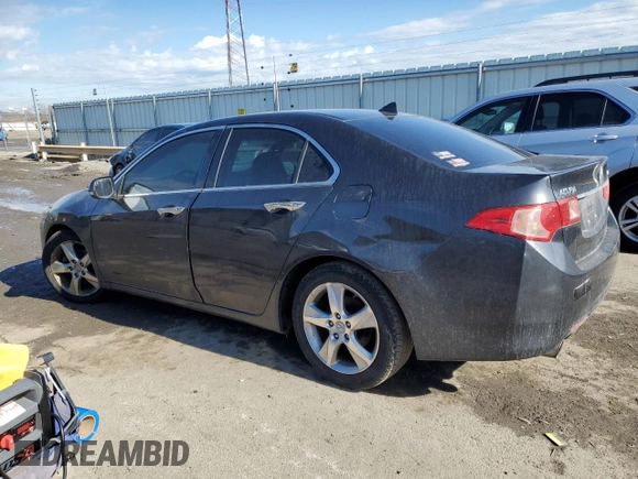 2013 Acura TSX with VIN JH4CU2F4XDC008701, listed as a Copart auction lot 46972355 with 0 mi miles and Clean Title. Bid and sale history available at carsss.com. Image 2.