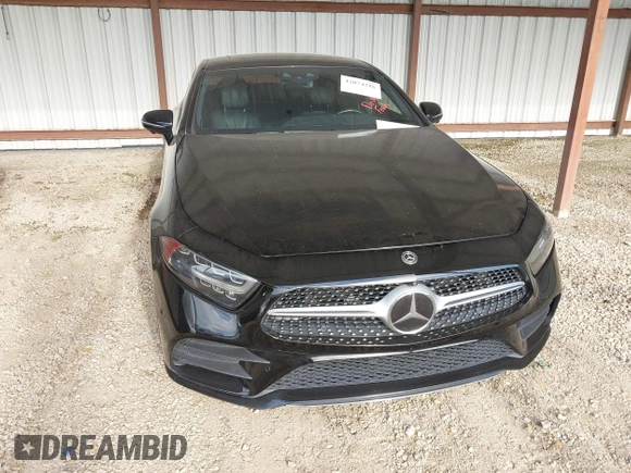 2019 Mercedes-Benz CLS with VIN WDD2J5KB3KA014592, listed as a IAAI auction lot 42074216 with 115,242 mi miles. Bid and sale history available at carsss.com. Image 6.