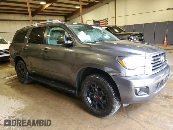 2020 Toyota Sequoia SR5 with VIN 5TDBY5G14LS178489, listed as a Copart auction lot 45889335 with 53,511 mi miles and Salvage Title. Bid and sale history available at carsss.com. Image 4.