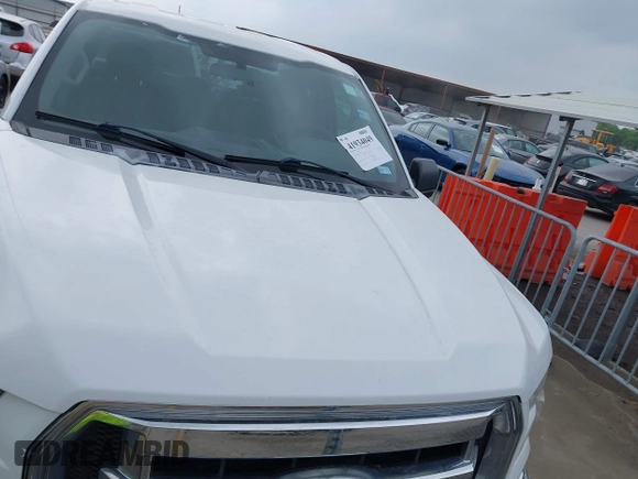 2017 Ford F-150 XL with VIN 1FTEX1CP4HKC96009, listed as a IAAI auction lot 41934049 with 147,963 mi miles. Bid and sale history available at carsss.com. Image 12.