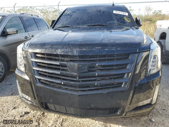 2018 Cadillac Escalade Platinum with VIN 1GYS3DKJ3JR318408, listed as a Copart auction lot 76171764 with 0 mi miles and Non Repairable. Bid and sale history available at carsss.com. Image 5.