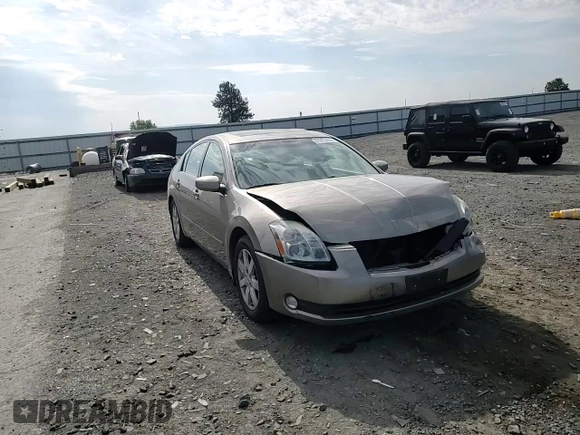 2006 Nissan Maxima SL with VIN 1N4BA41E36C845087, listed as a Copart auction lot 61875455 with 61,872 mi miles and Salvage title. Bid and sale history available at DreamBid. Image 13.