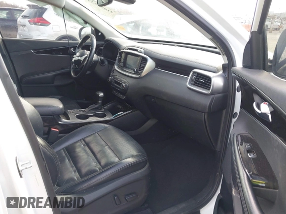 2019 Kia Sorento EX V6 with VIN 5XYPHDA5XKG507641, listed as a IAAI auction lot 41655933 with 171,136 mi miles. Bid and sale history available at carsss.com. Image 5.